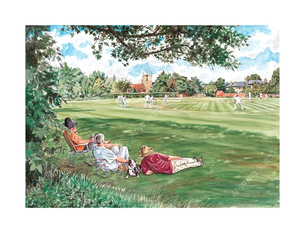  Bures - Cricket Sb20